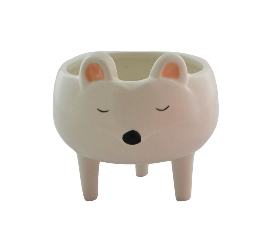 Mini Racoon Planter