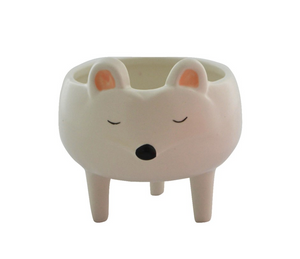 Mini Racoon Planter