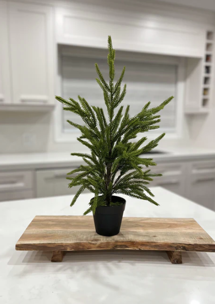 19” Fresh Touch Norfolk Pine Tree Potted In Plastic Pot Real Touch