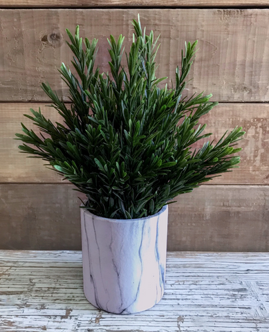 Rosemary Plant Marble Pot 13''