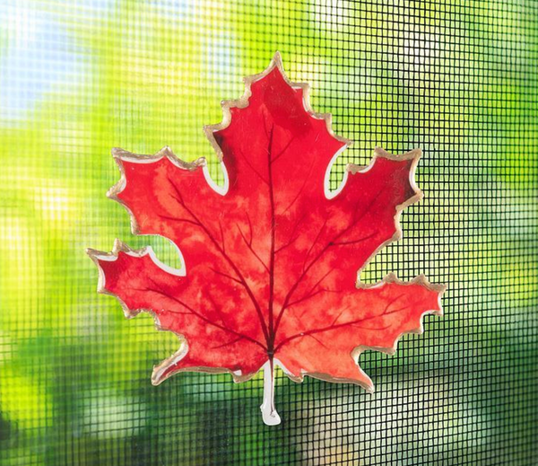 Maple Leaf Magnet