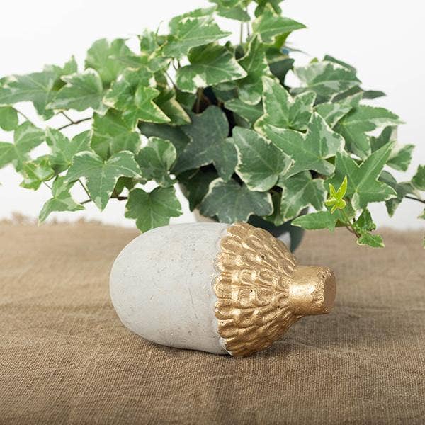Cement Acorn - Medium