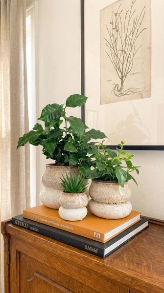 Ceramic Planter Pot, Stacked with Drainage - Noemi: Large 6.5"