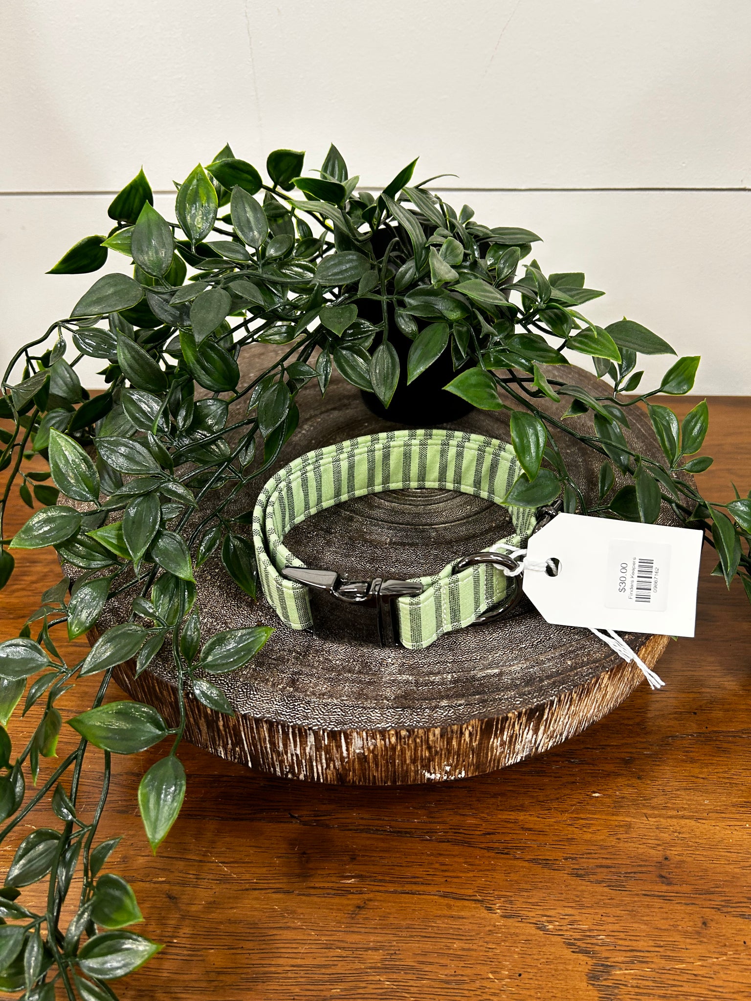 Green Stripe Dog Collar - Medium