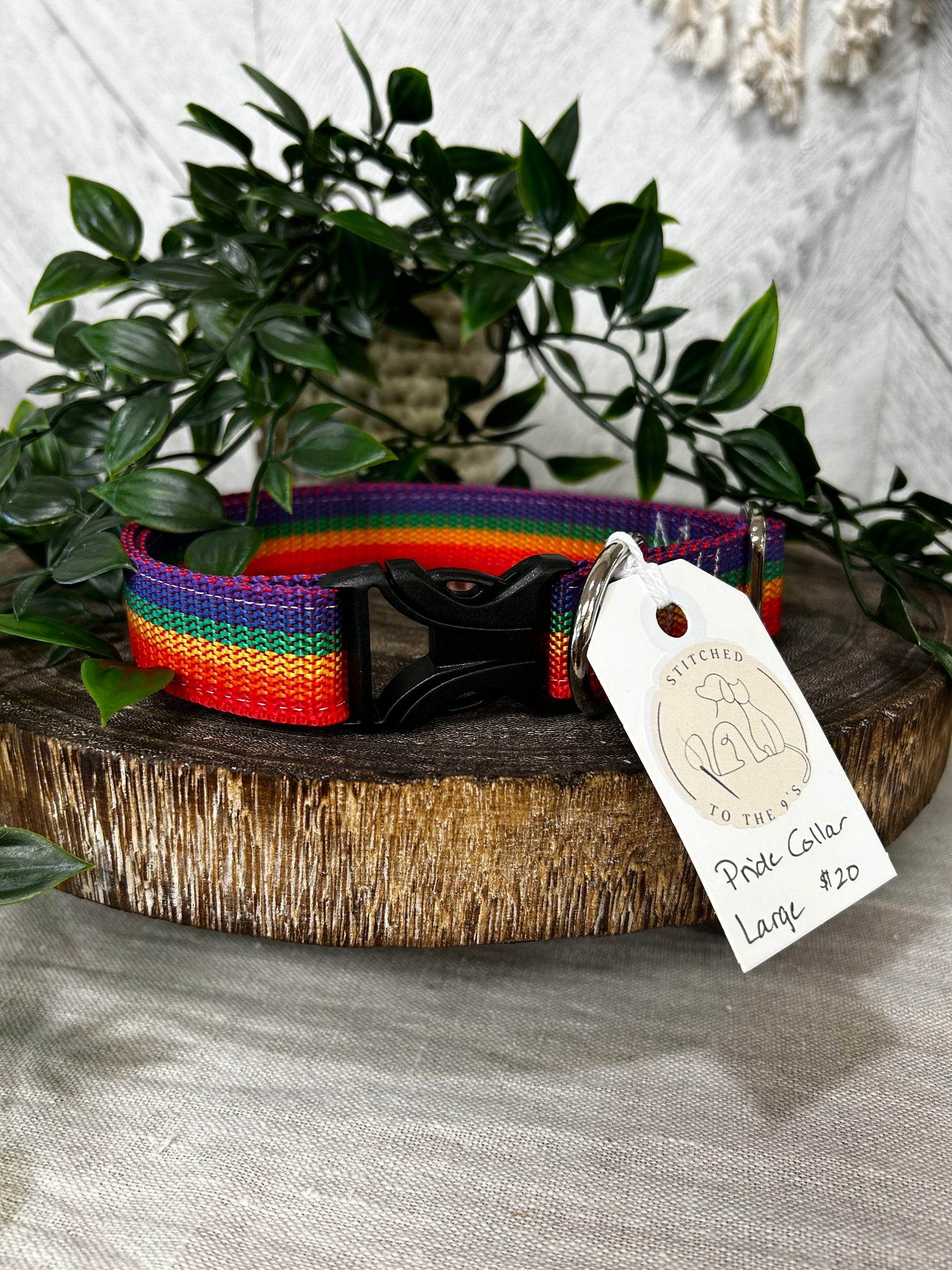 Pride Dog Collar - Large