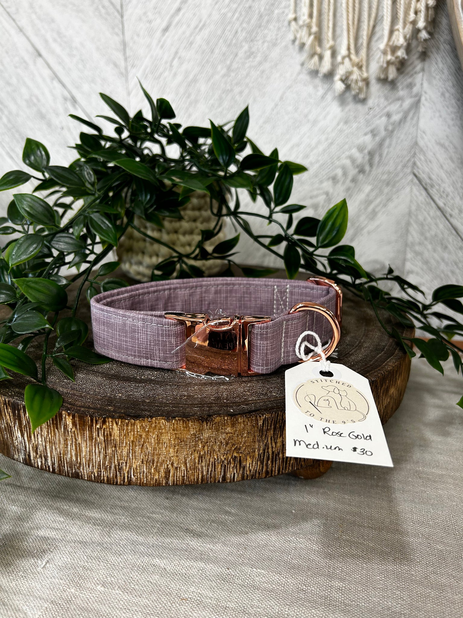 Metal clasp dog collars discount