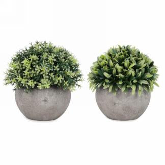 Faux Ball Plant In Grey Pot - 2 Assorted Styles