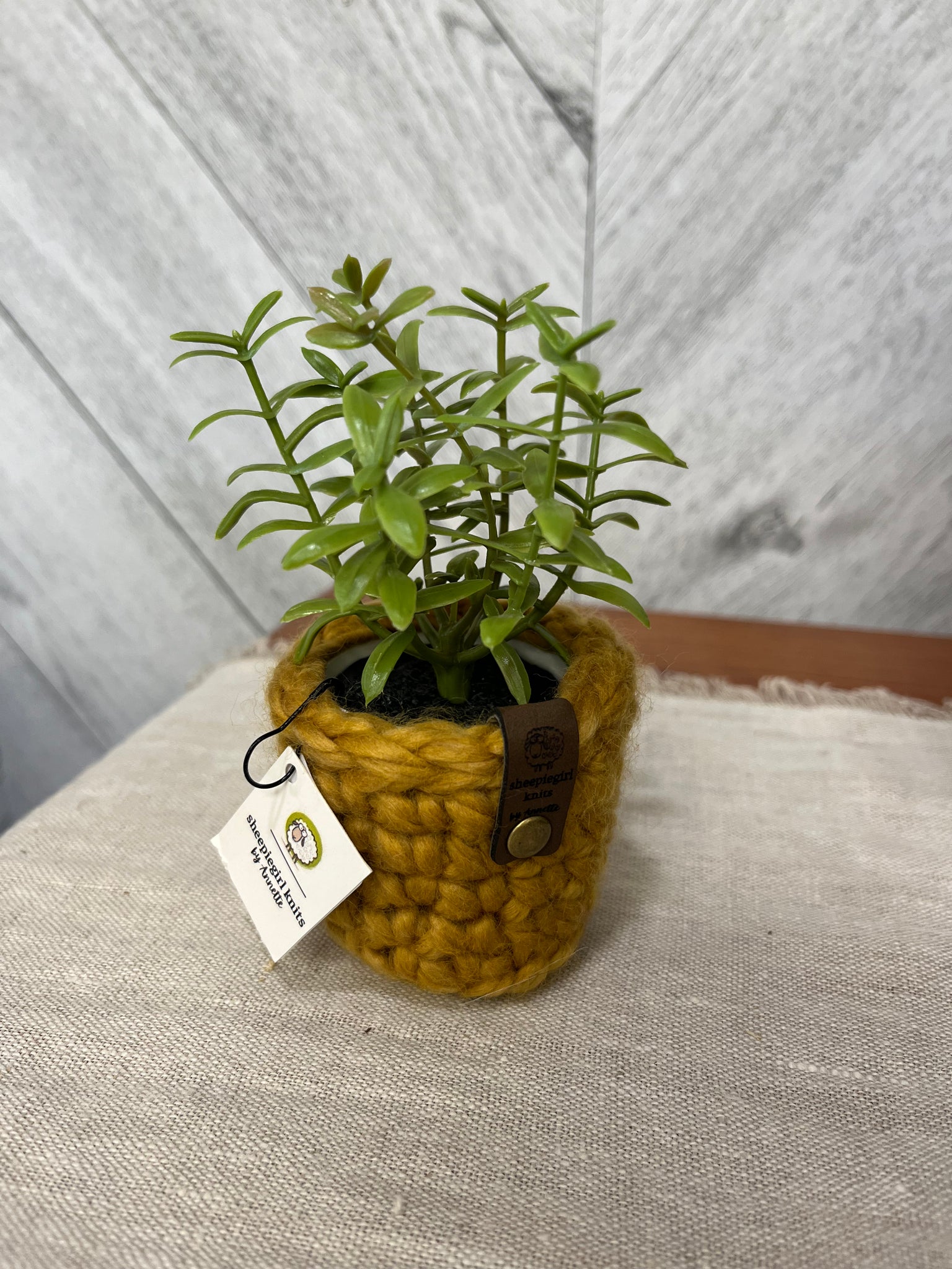Mini Potted Plant- mustard yellow