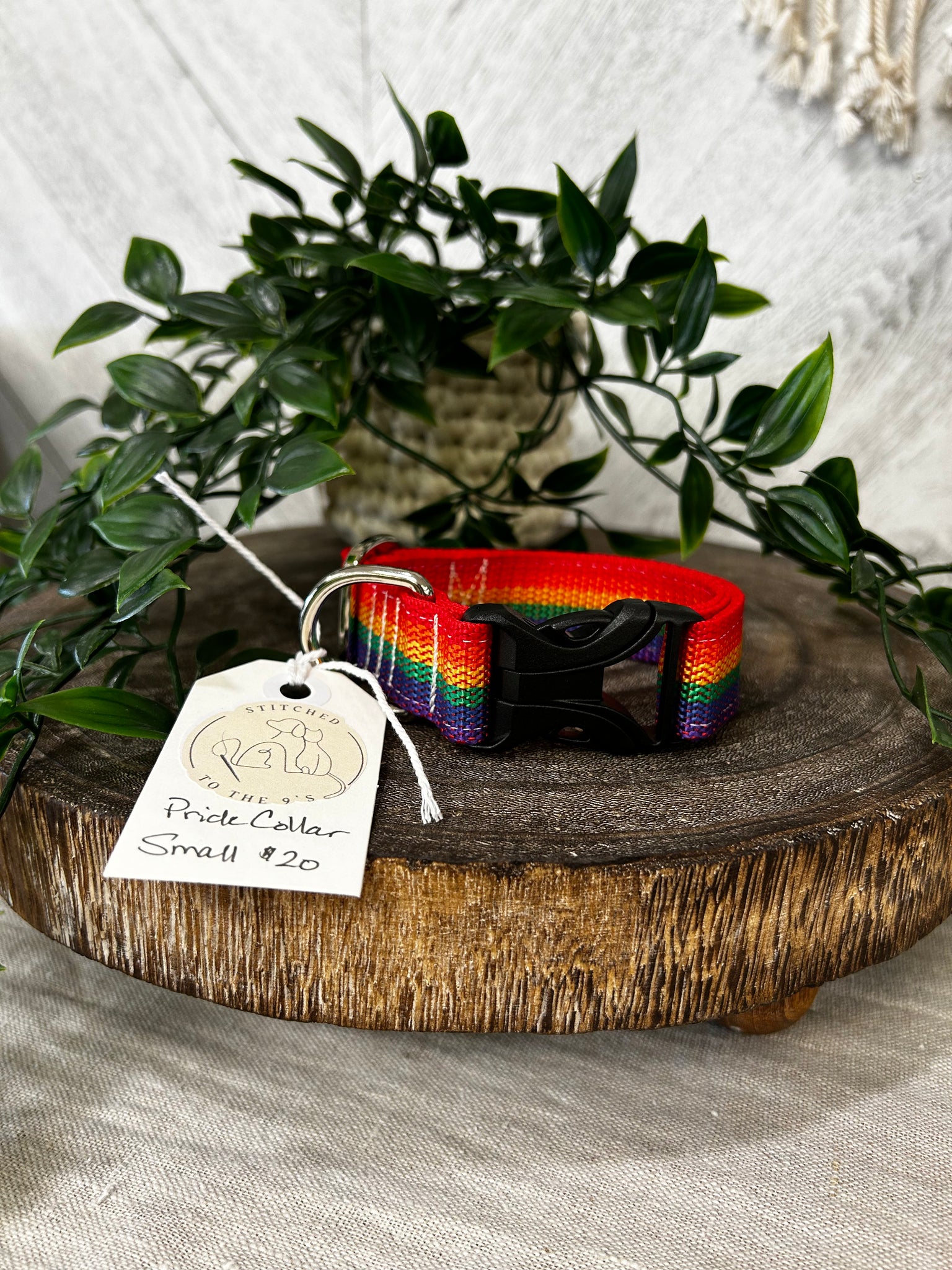 Pride Dog Collar - Small