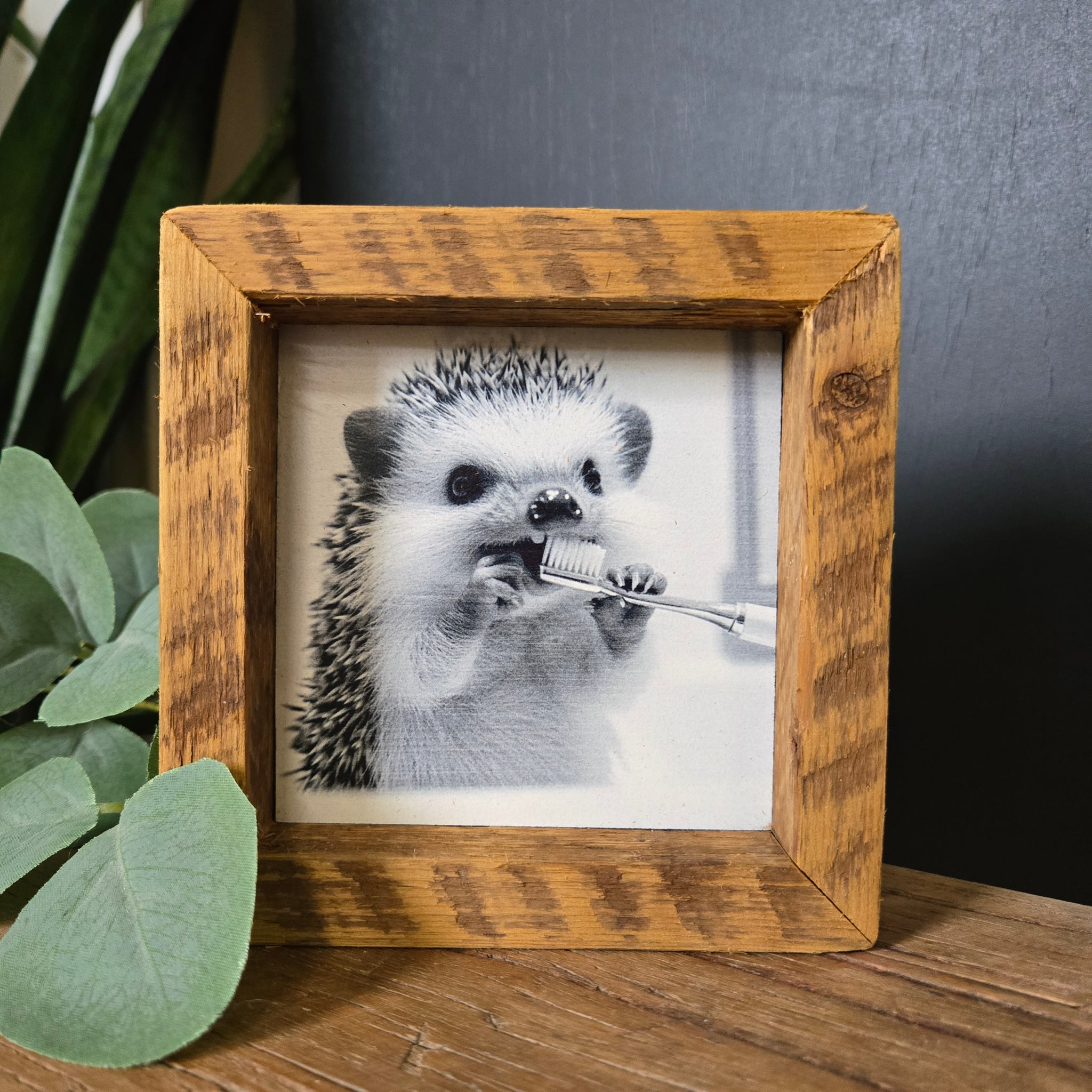 4x4 Hedgehog toothbrush sign