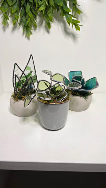 Stained Glass Plants -Medium
