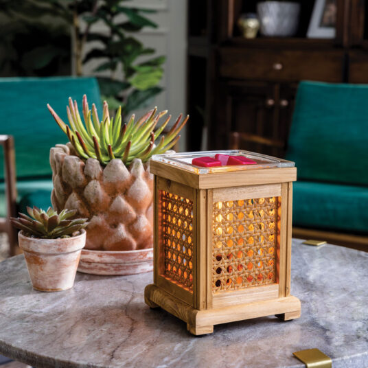 Wood & Cane Fragrance Warmer