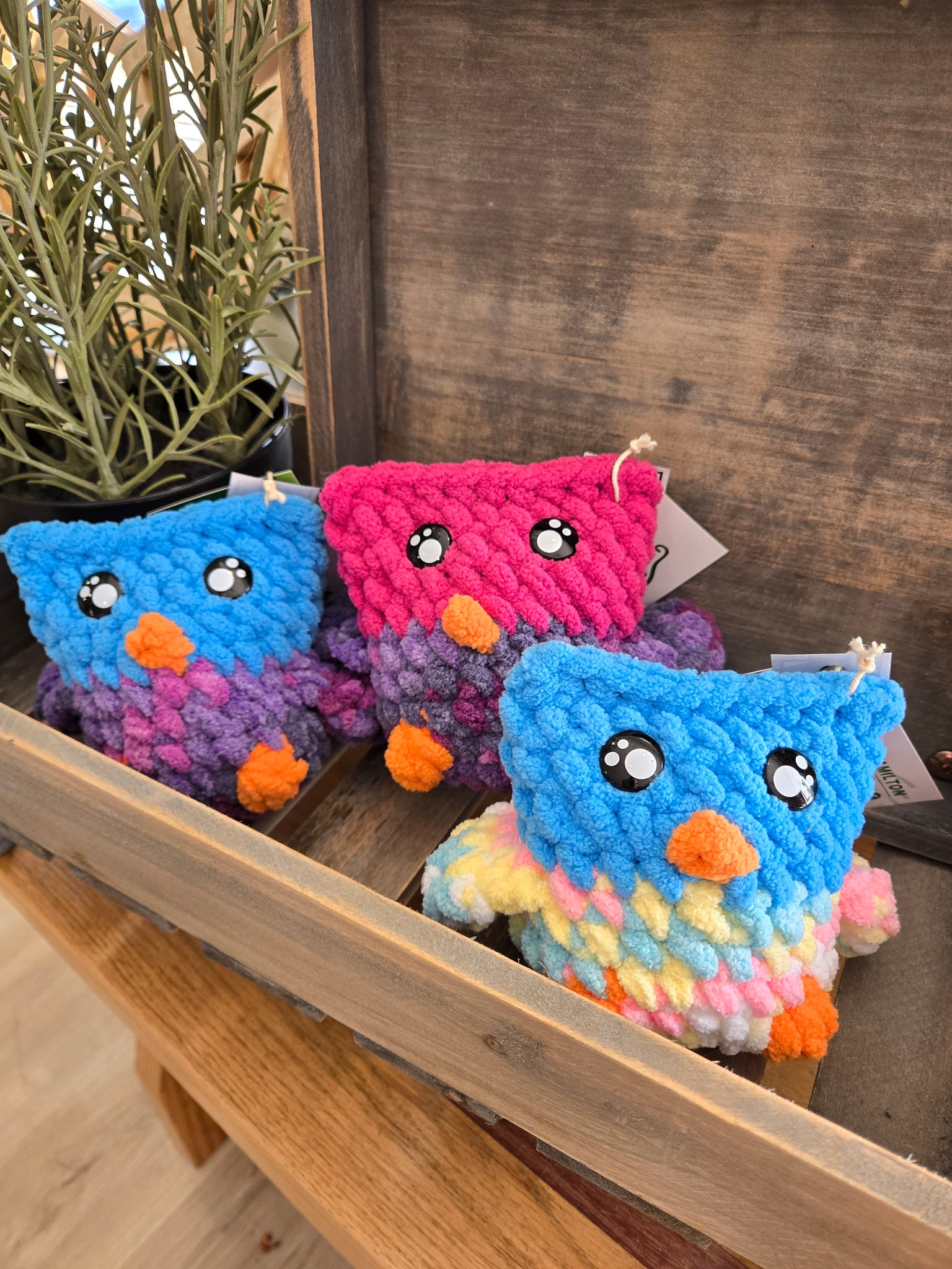 Crochet Owls - Assorted Styles