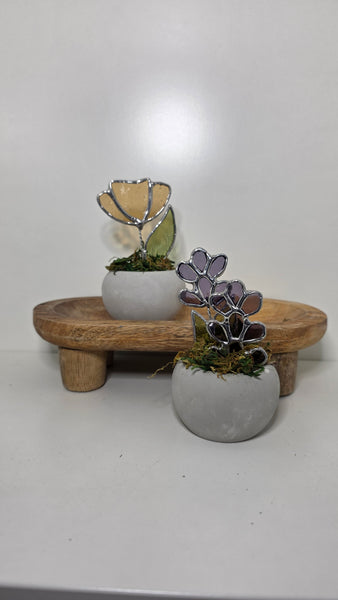 Stained Glass Plants -Medium