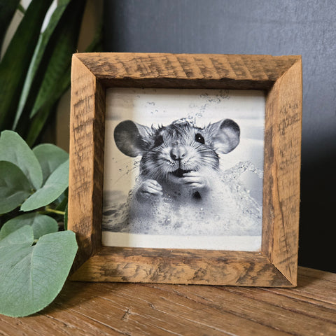 4x4 Mouse bathtub sign