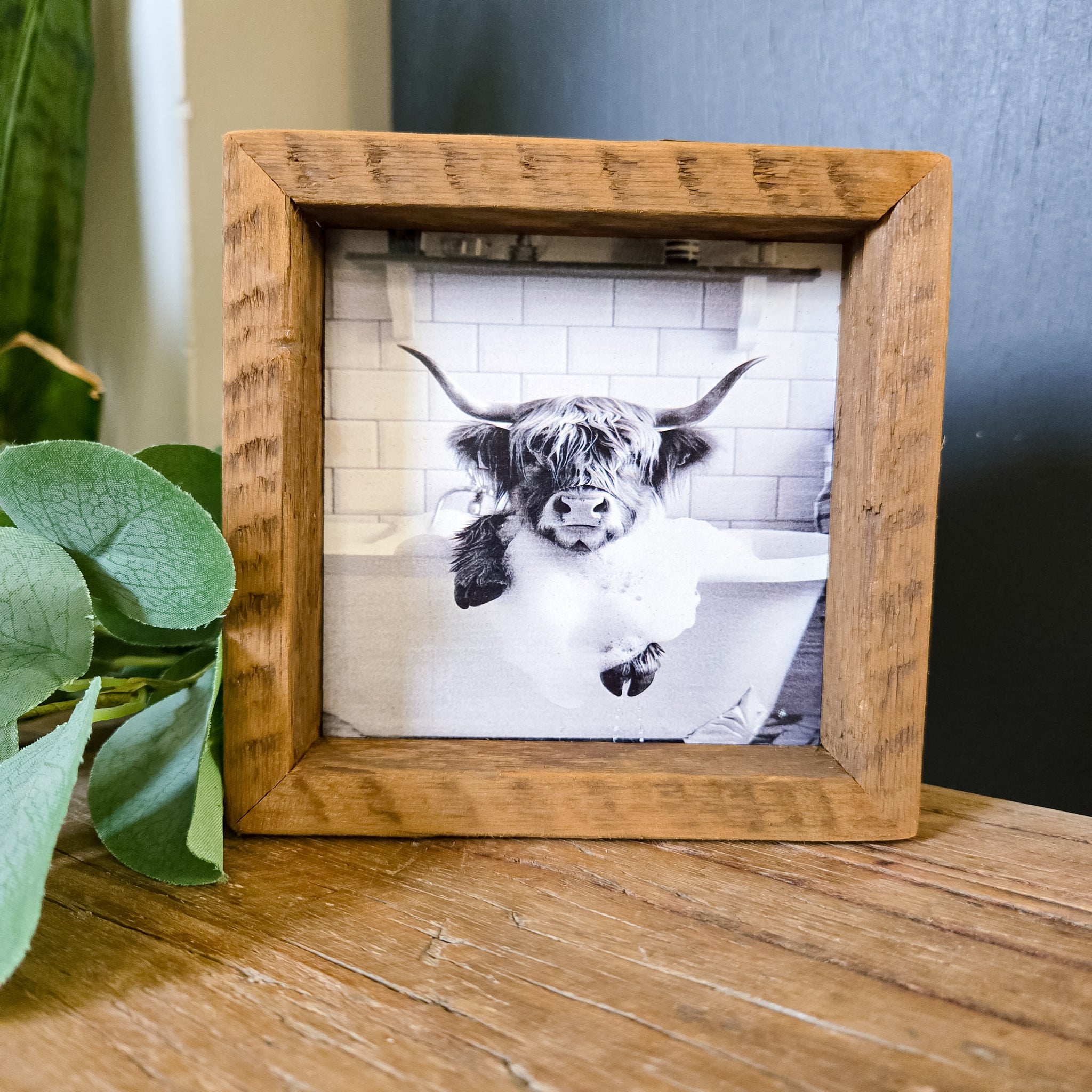 4x4 Bathtub Highland cow sign