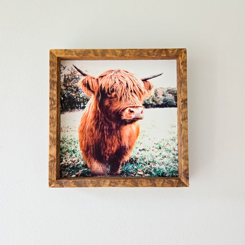 9x9 Highland cow sign.