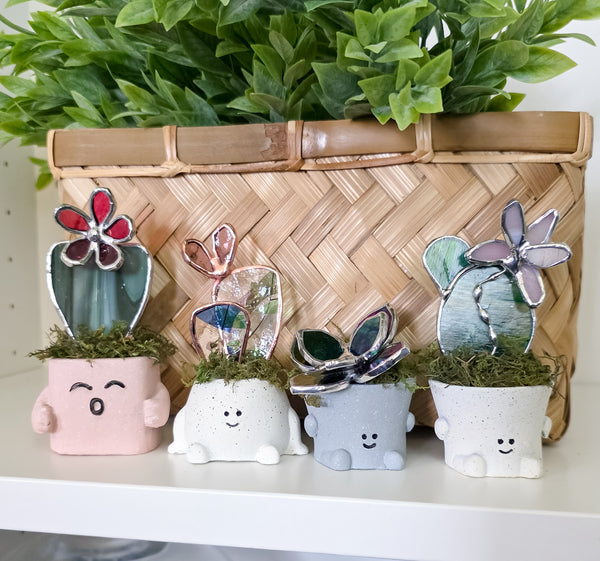 Stained Glass Plants -Small