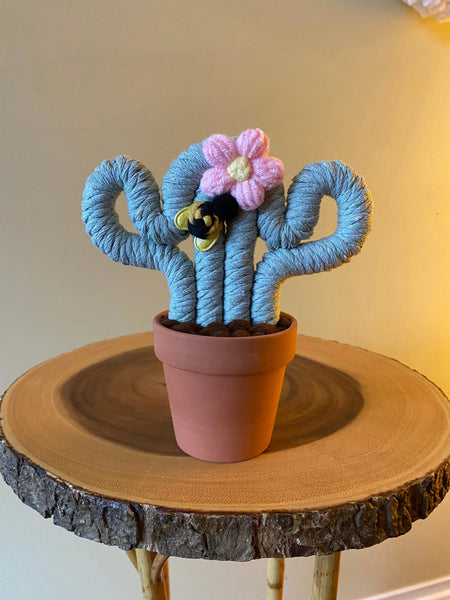 Felted Small Cactus W/Bee - Assorted