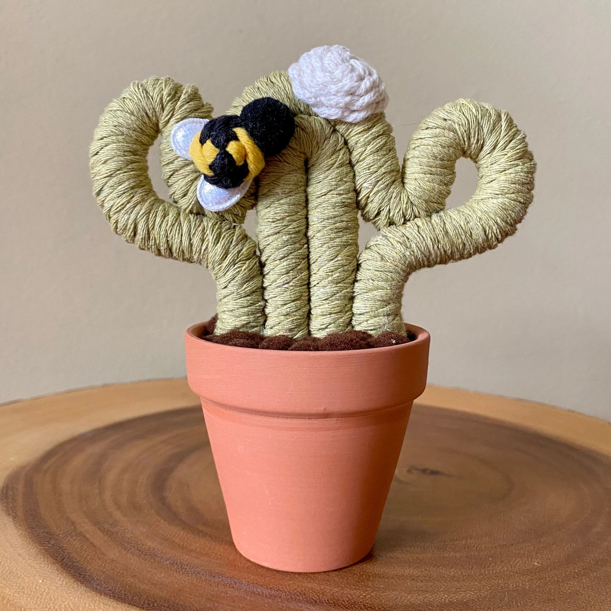 Felted Small Cactus W/Bee - Assorted