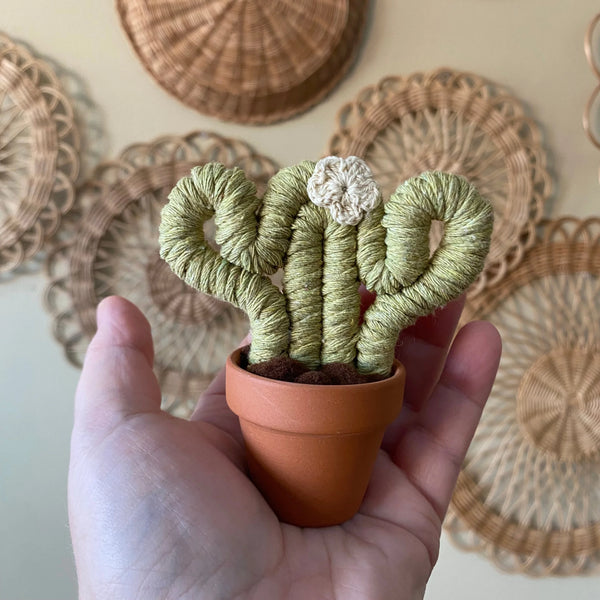 Felted Mini Cactus - Assorted