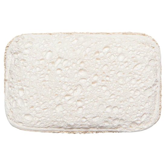 Dish Sponges - Sold Individually
