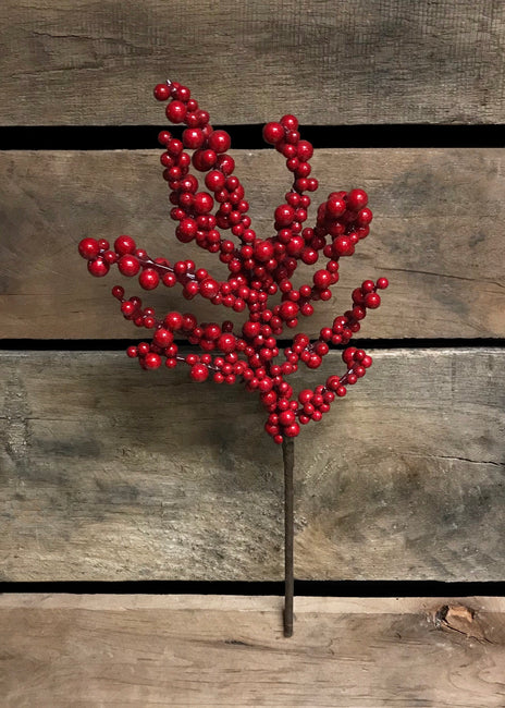 12" Red Indoor/Outdoor Berry Pick