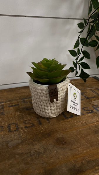 SGK-Mini Potted Plant