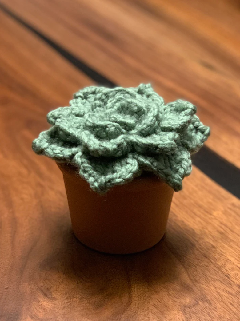 SGK  - Faux Succulent In Terracotta Pot