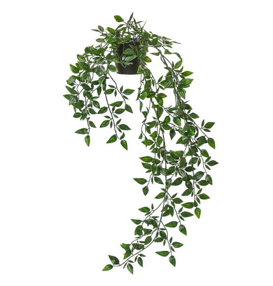 Long Dark Green Draping Faux Plant – Finders Keepers Brantford Shop