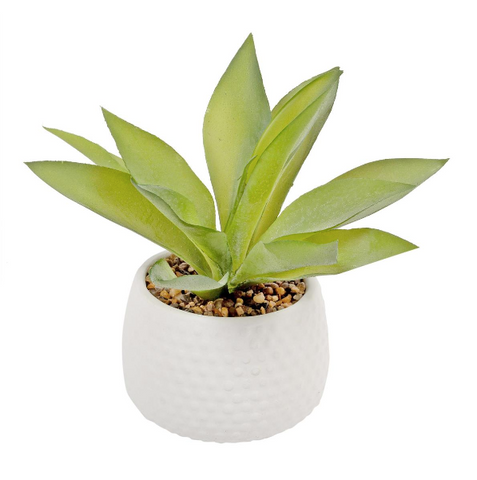 Artificial Plant in 4.75"D Cement Pot, 9"H