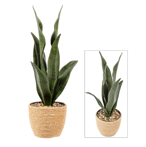 Artificial Plant in 4.3"D Cement Pot, 13"H