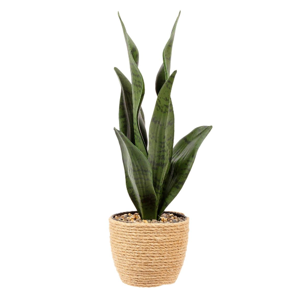 Artificial Plant in 4.3"D Cement Pot, 13"H