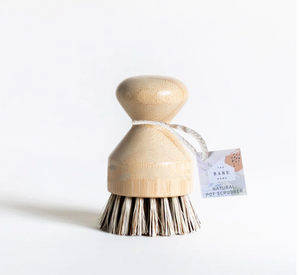 Palm Dish Scrubby