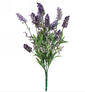 Purple Lavender Bundle