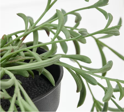 Faux String Of Dolphins Potted Plant
