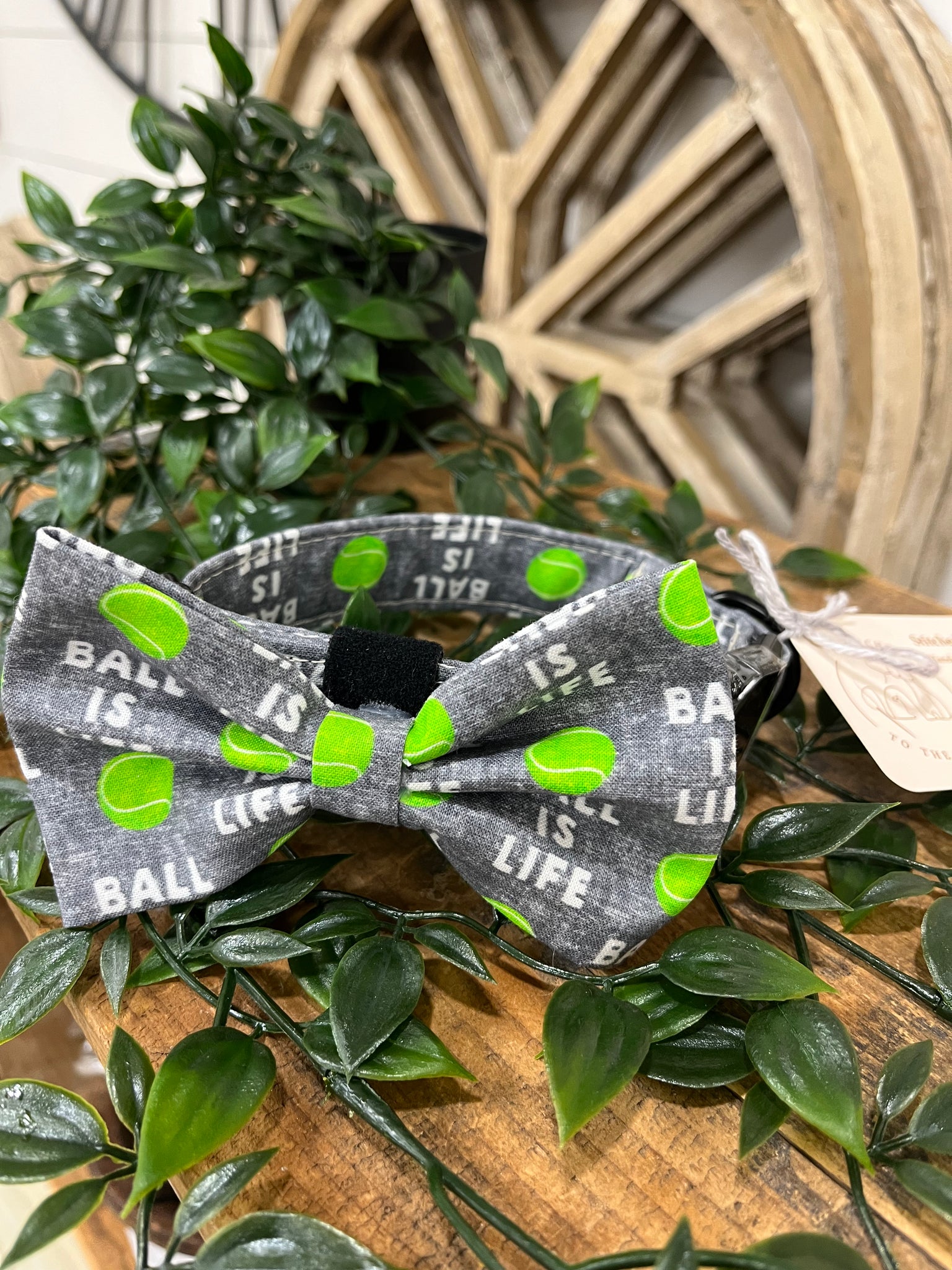 Ball is Life Collar with Bowtie