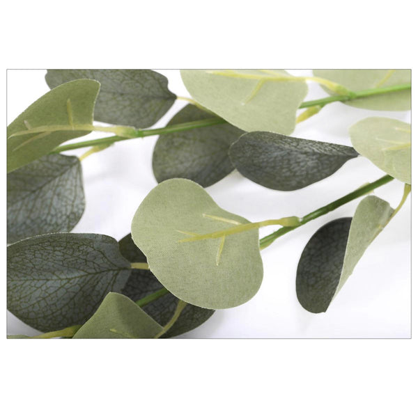 EUCALYPTUS FOLIAGE BRANCH, 21"