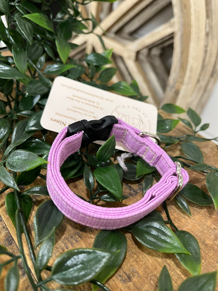 Dog Collars - Assorted Styles
