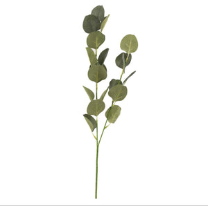 EUCALYPTUS FOLIAGE BRANCH, 21"