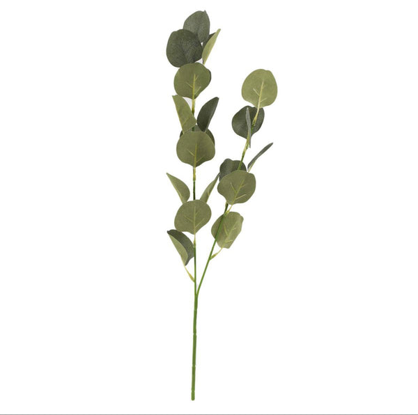 EUCALYPTUS FOLIAGE BRANCH, 21"